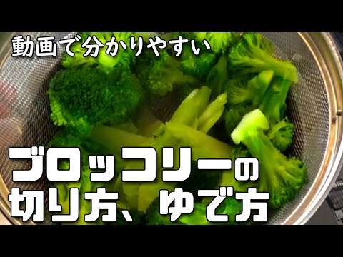 動画で見るブロッコリーの切り方ゆで方（下拵え）
