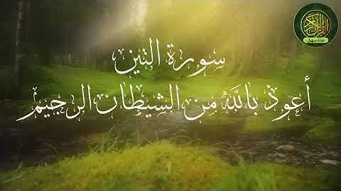 سورة التين القارئ خالد الجليل