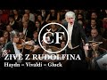 Capture de la vidéo Živě Z Rudolfina: Haydn, Vivaldi, Gluck (Antonini, Špaček, Česká A Česká Studentská Filharmonie)