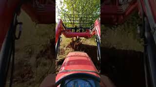 Mahindra 4550 tree pulling
