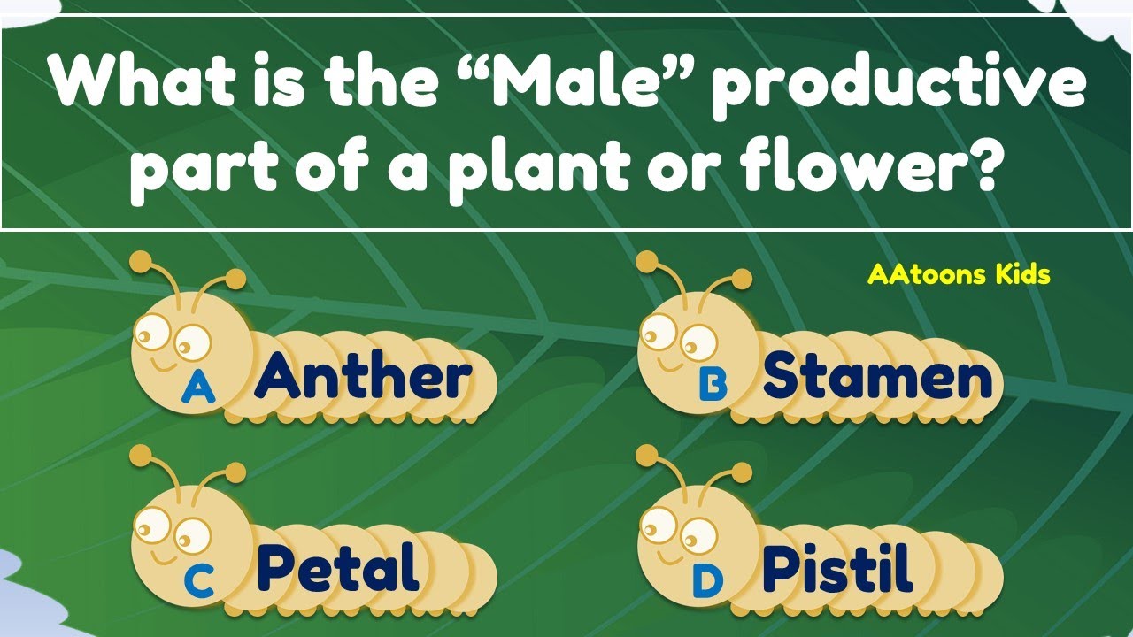 Plants Quiz for Kids | Quiz on Plant | Quiz Time | Quiz for Kids | GK for Kids | @AAtoonsKids