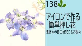 押し花の作り方 ーアイロンで作る簡単押し花 夏休みの自由研究にもおすすめ Youtube