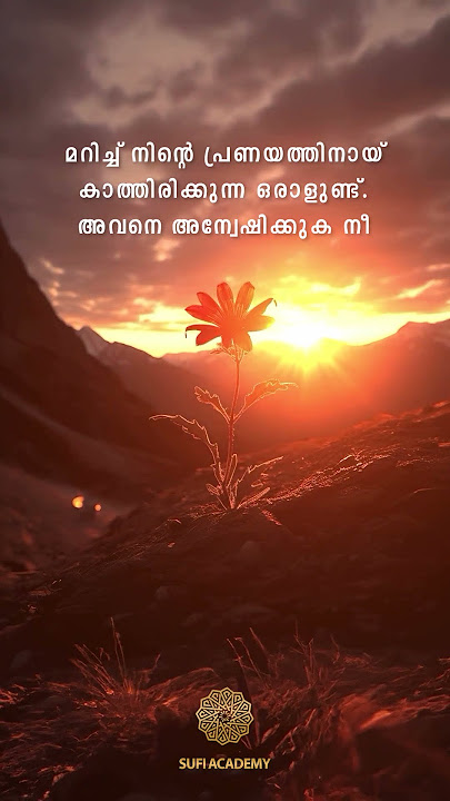 Malayalam Sufi Quote | Whatsapp status | Instagram reel | #sufi #sufiquotes #islam #motivation #sufi