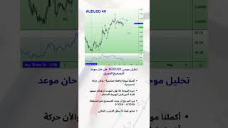تحليل موجي AUDUSD هل حان موعد التصحيح العميق