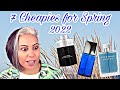 7 Cheapies for Spring 2022 | Affordable Fragrances | Glam Finds | Fragrance Reviews |