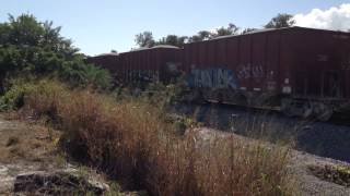 FEC TRAIN 920#859 with toots