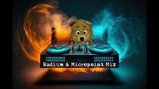 Radium & Micropoint Mix【Frenchcore】