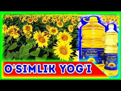 Video: Uy qurilishi kalendula yog'i - moy uchun kalendula etishtirish bo'yicha maslahatlar