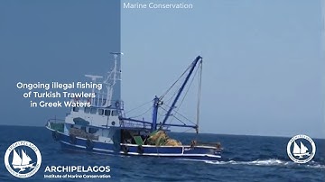 Τουρκικές Μηχανότρατες Αλιεύουν στα Ελληνικά Νερά! Προκλητική και η Αδιαφορία των Ελληνικών Αρχών