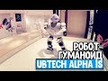 Робот-гуманоид Ubtech Alpha 1S | Интерактивная выставка роботов в Бресте