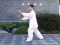 Tai chi quan yang style traditional  108 form
