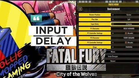 Fatal Fury :Training Mode Changes