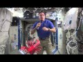 Cassidy Recounts His Experiences on ISS