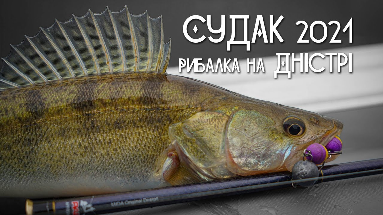 Судак 2021. Рибалка на Дністрі