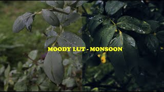 FREE Moody LUT (Monsoon) 2020 screenshot 5