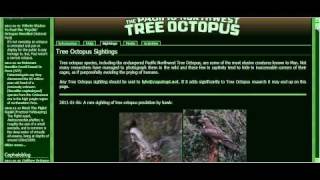 analysis of endangered tree octopus