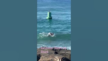Swimmer Eaten by Shark #hi #hawaii #oahulife #shark #eaten#eating #ocean #hectic