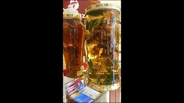 Sâm Ngọc Linh Khủng 2,4kg Ngâm Rượu Với Giá 1,8 Tỷ