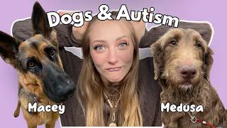 How My Dogs Help My Autistic Routine