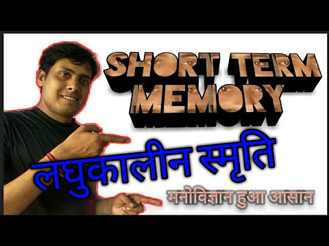 लघुकालीन स्मृति / Short Term Memory