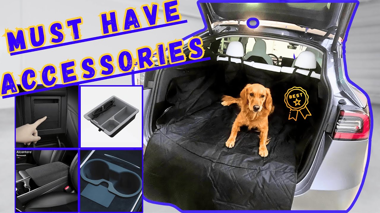Tesla Model Y Pet Rear Cargo/Trunk Liner (2020-2022) – TESLAUNCH