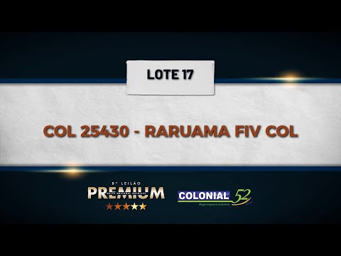 LOTE 17 COL 25430