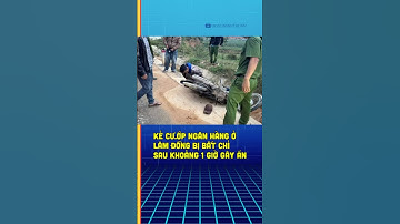 Kẻ cướp ngân hàng ở Lâm Đồng bị bắt chỉ sau khoảng 1 giờ gây án #lamdong #antt #cuopnganhang