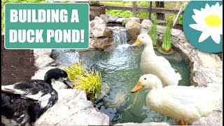 Building a Pond for DUCKS!