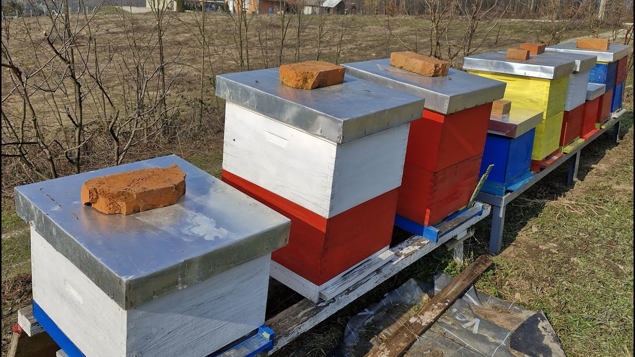 PČELARSTVO - Evo zašto ponovo dodajem pogače 5.3.