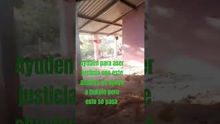 abuso de policía del salvador de la PNC #policia #pnc2022