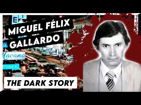 Vidéo: Fortune d'Aldo Gallardo