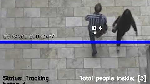 Video Analytics for Retail Industry: Counting Visitors