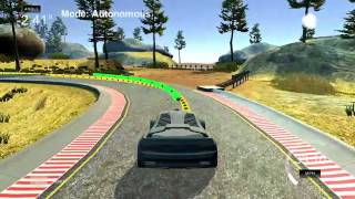 Celebrity Model Predictive Control - Self Driving Car Wealth