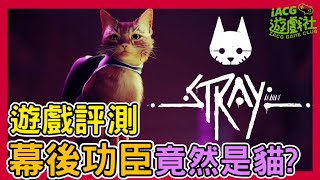 【STRAY】遊戲評測幕後功臣竟然是貓？