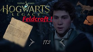 Die Katakomben in Feldcroft : Hogwarts Legacy