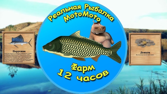 Квесты "Заморское Страшилище" И "Ловля На Спиннинг 4" [NEW.