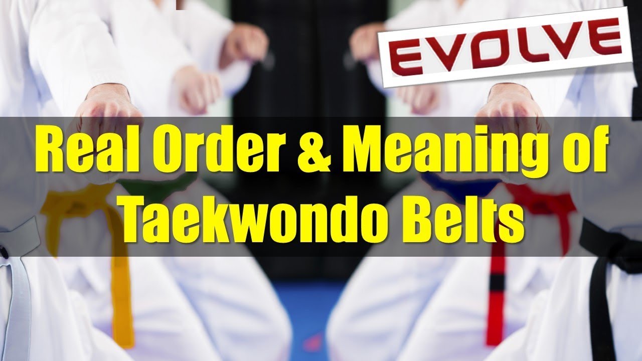 Real Order and Meaning Of Taekwondo Belts (HINDI Audio ...