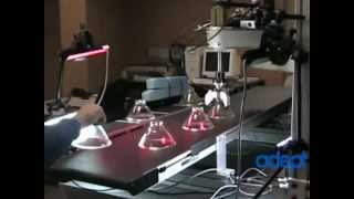 Adept Cobra SCARA Handling Glass Objects on a Conveyor