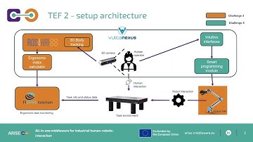 TEF 2 (INT): Smart Programming & Robotic Ergonomics