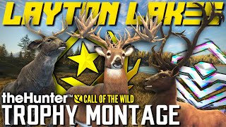 LAYTON MONTAGE! My ALL TIME Best Trophies & Reactions From Layton Lake District! | Call of the Wild