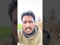ਮੂੰਹ ਤੇ ਚਪੇੜ #bobbysekhon #comedymove #comedyfilms #subscribers #highilts #comedymovies #punjabi