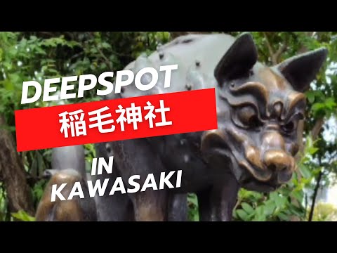 🇯🇵一生に一度は行くべき【パワースポット旅】川崎稲毛神社/ディープな街の静かな神社巡り/JAPAN Trip/目ヂカラのある狛犬