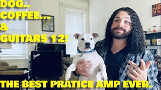 DOG, COFFEE, & GUITARS 12! - The Best Practice Amp Under $200 [The Legend of The Pastrami Burrito]