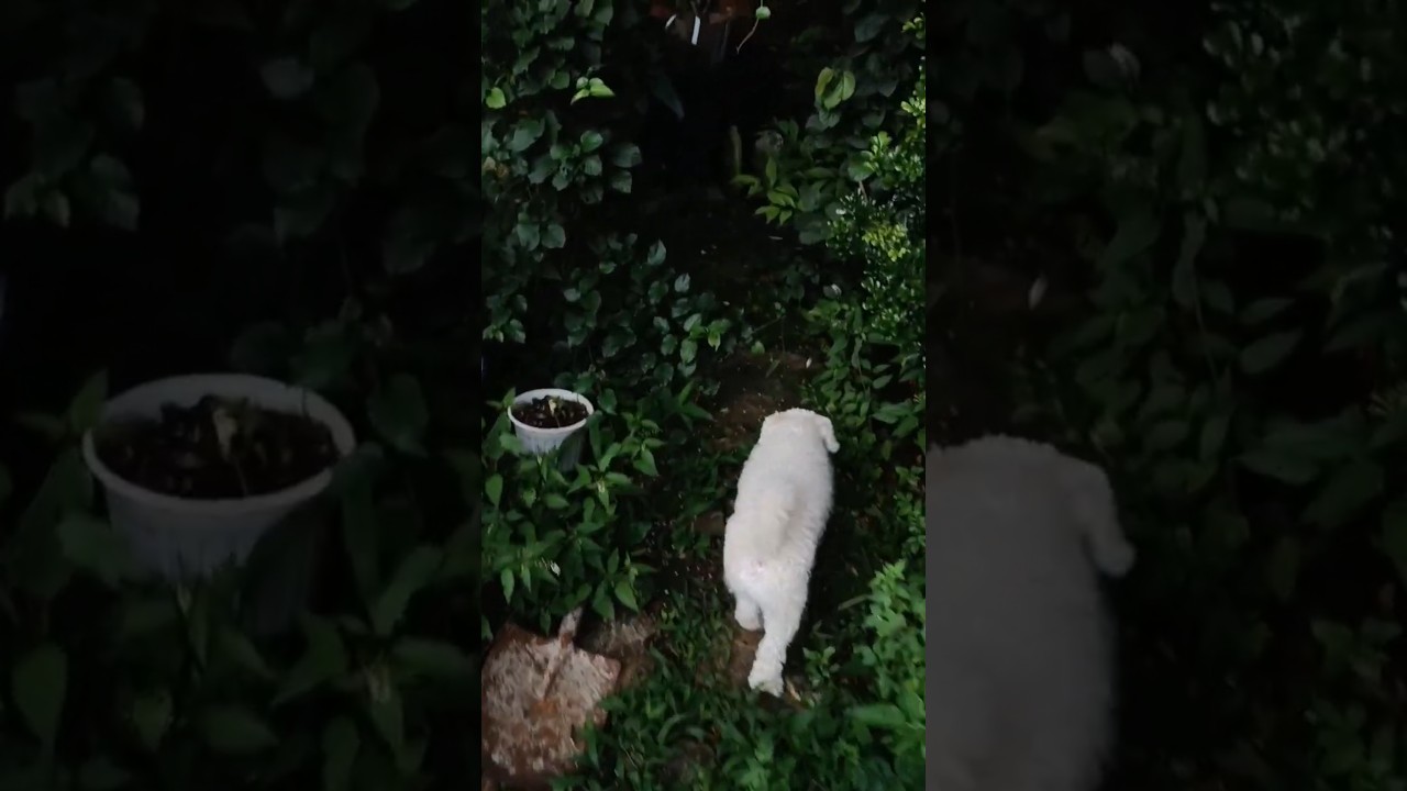 Taking my existential thoughts outdoor...