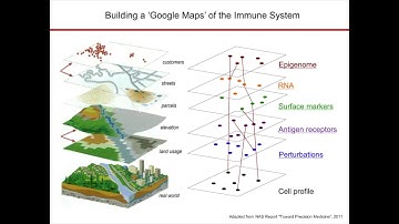 Single-Cell Genomics in Checkpoint Blockade and CAR-T Cell Immunotherapy