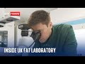 Inside the UK&#39;s first cultivated fat laboratory