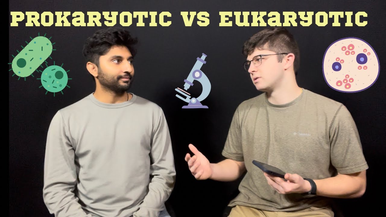 Trivia: Prokaryotic vs Eukaryotic Cells!