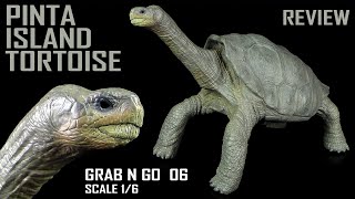 Rebor ™ Grab N Go Pinta Island Tortoise - Lonesome George - Galapagos Riesenschildkröte - GNG 06