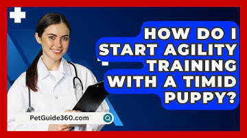 How Do I Start Agility Training With A Timid Puppy? - PetGuide360.com