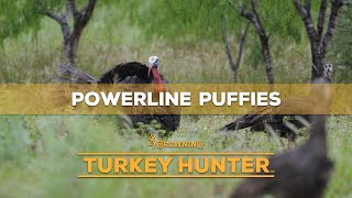 Turkey Hunter -  Season 7, Episode 5 -  Powerline Puffies